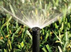 Grasshopper Irrigation, Inc. - #4